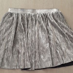 Silver Skirt